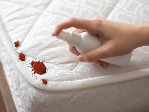Best Mosquito Control Services  in Jonesboro, IN